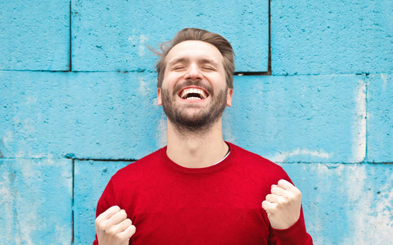 Proin viverra ligula