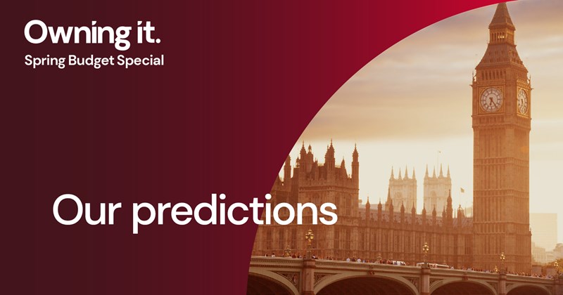 Our Spring Budget Predictions