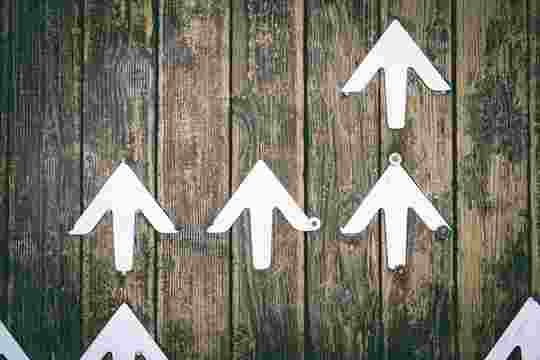 Cashflow recovery tips: time to focus on success, not survival
