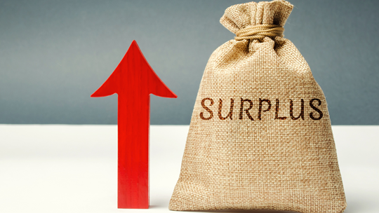 Managing surplus cash in your company