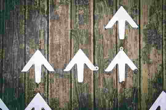 Cashflow recovery tips: time to focus on success, not survival