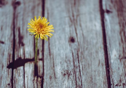 Business growth: how having time to think has opened up new opportunities