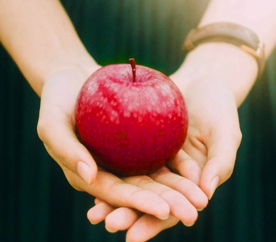 Fuel Your Success: Your Guide to Eating for Energy and Focus