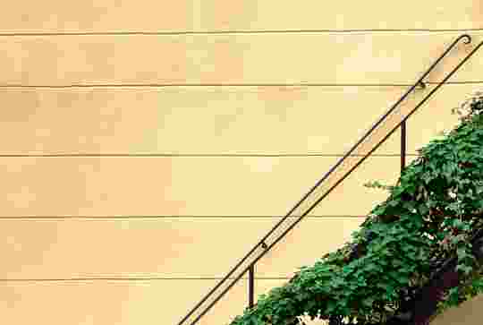 How to write a business plan for growth