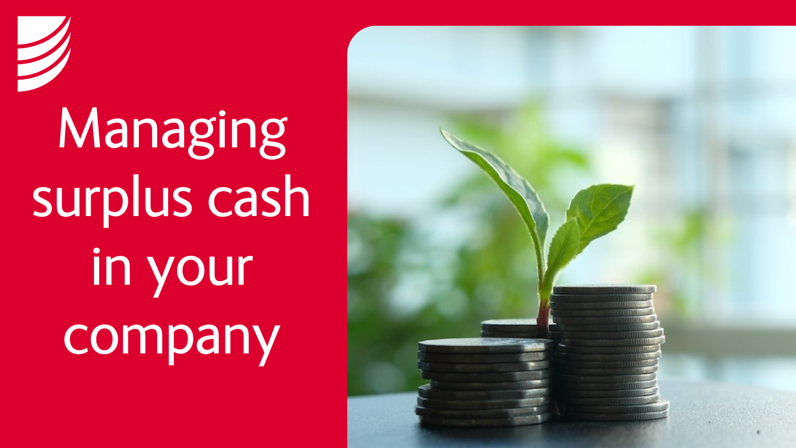 Investing excess limited company cash lay betting sites uk weather