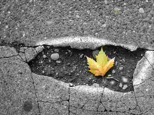 Common pitfalls when selling your business