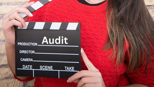 Business efficiencies : The Unseen Benefits of External Audits