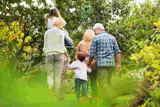 Securing your wealth using a Family Investment Company (FIC)