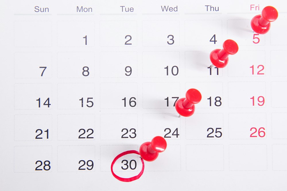 Spring tax planning 2026: What business owners need to know