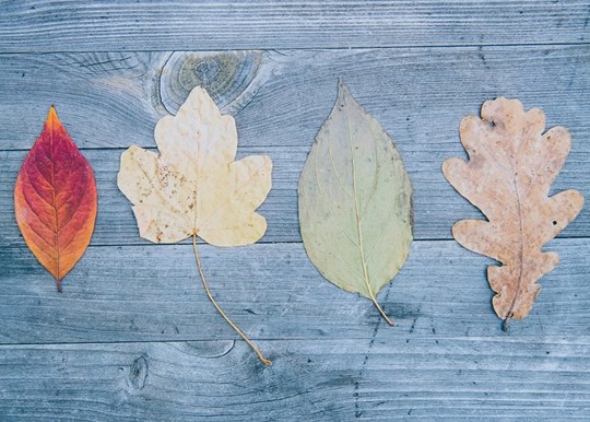 What are the main objectives of tax planning?