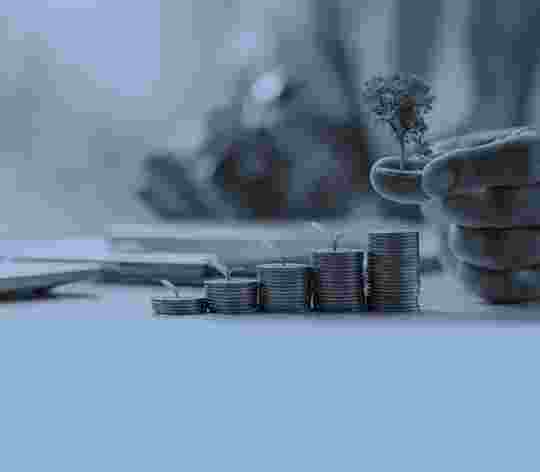 Eco-Friendly & Profitable: The Business Case for Sustainability