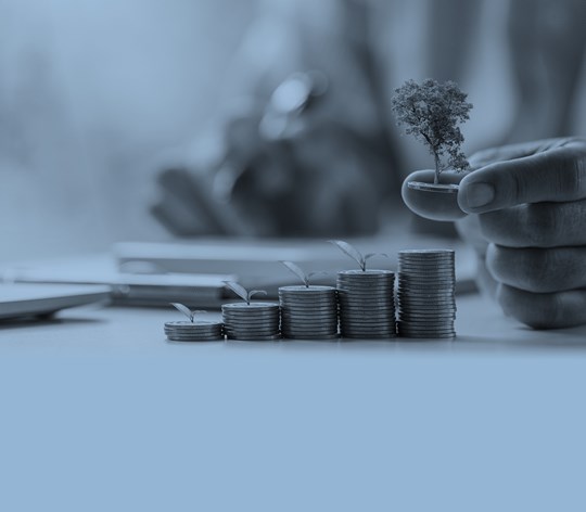 Eco-Friendly & Profitable: The Business Case for Sustainability