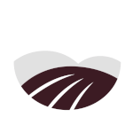 Wellbeing and benefits