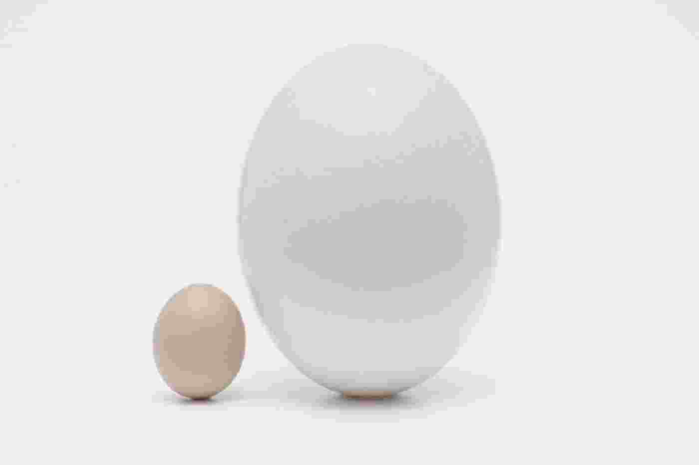 Eggs1