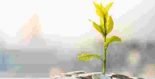 Do EIS and SEIS schemes attract funding opportunities?
