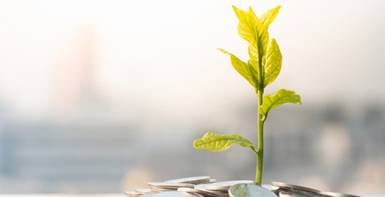 Do EIS and SEIS schemes attract funding opportunities?