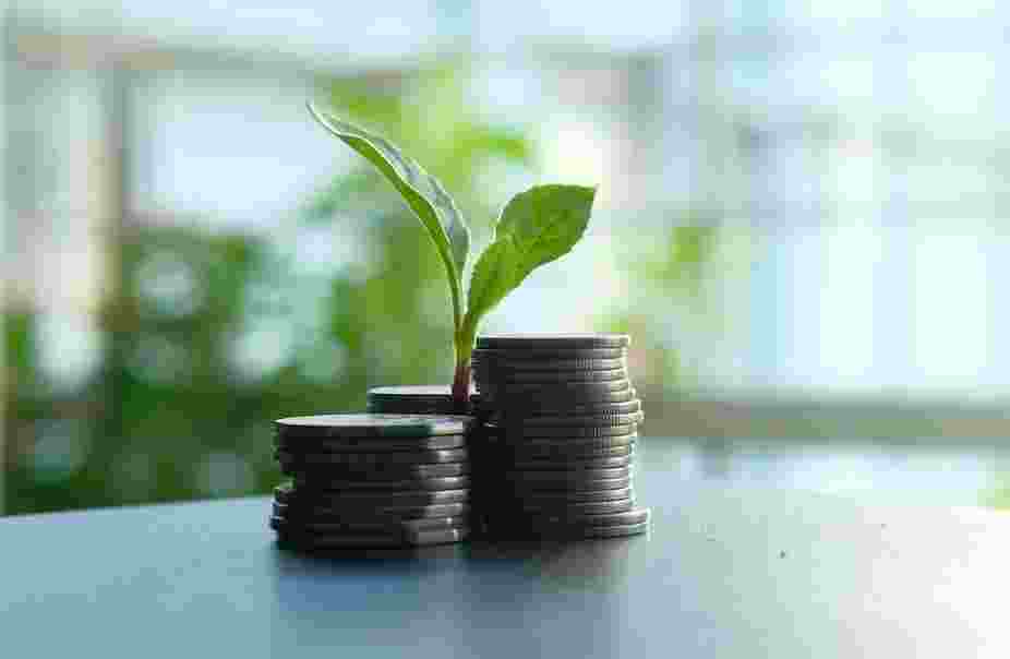 Managing Surplus Cash To Fund Future Growth In Your Company