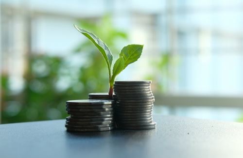 Managing surplus cash in your company