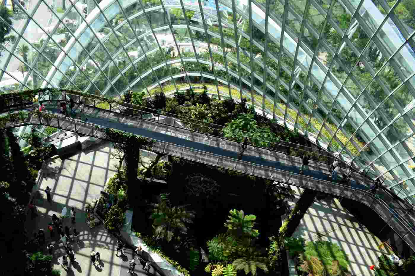 Giant greenhouse