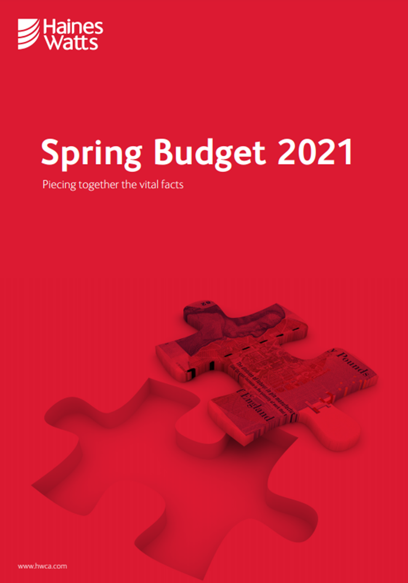 Budget report 2021 