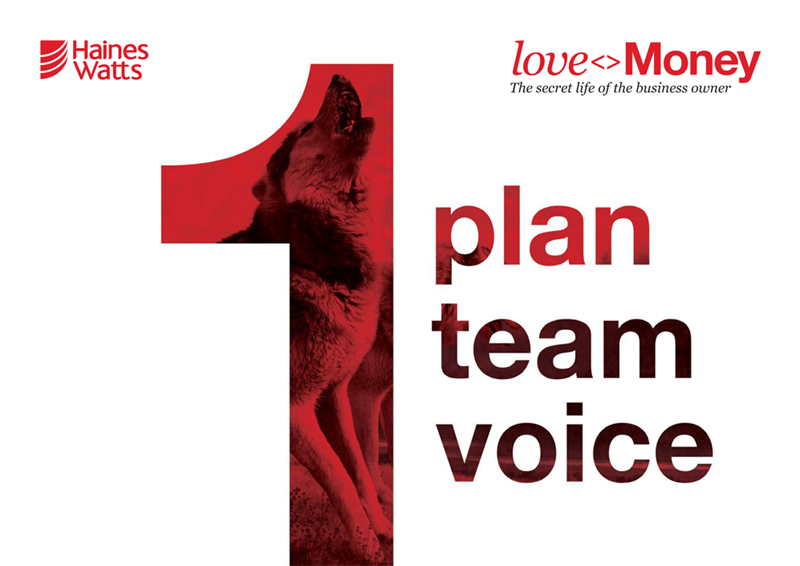 For love or money: One plan, one team, one voice 