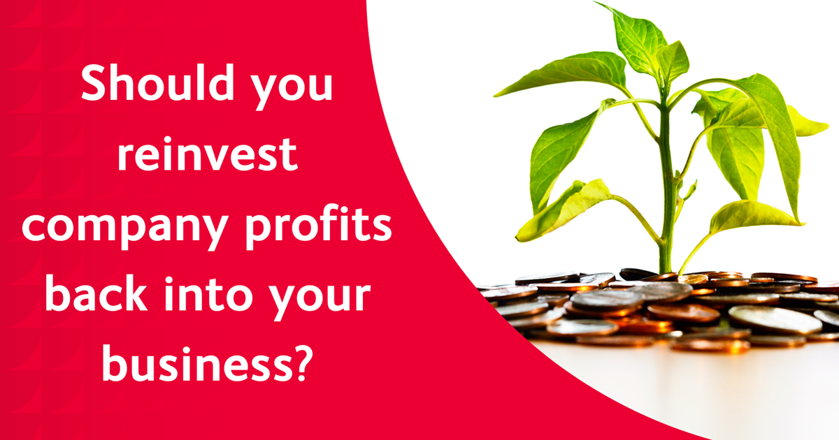 How Much Money Should You Put Back Into Your Business Should you reinvest company profits back into your business? - Haines