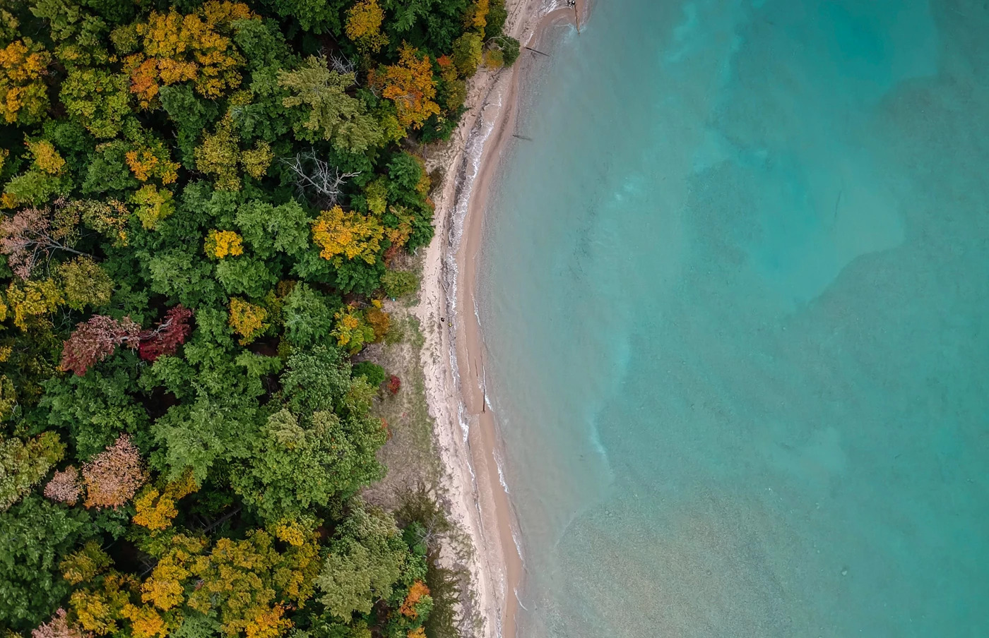 Claiming R&D tax relief in a changing landscape