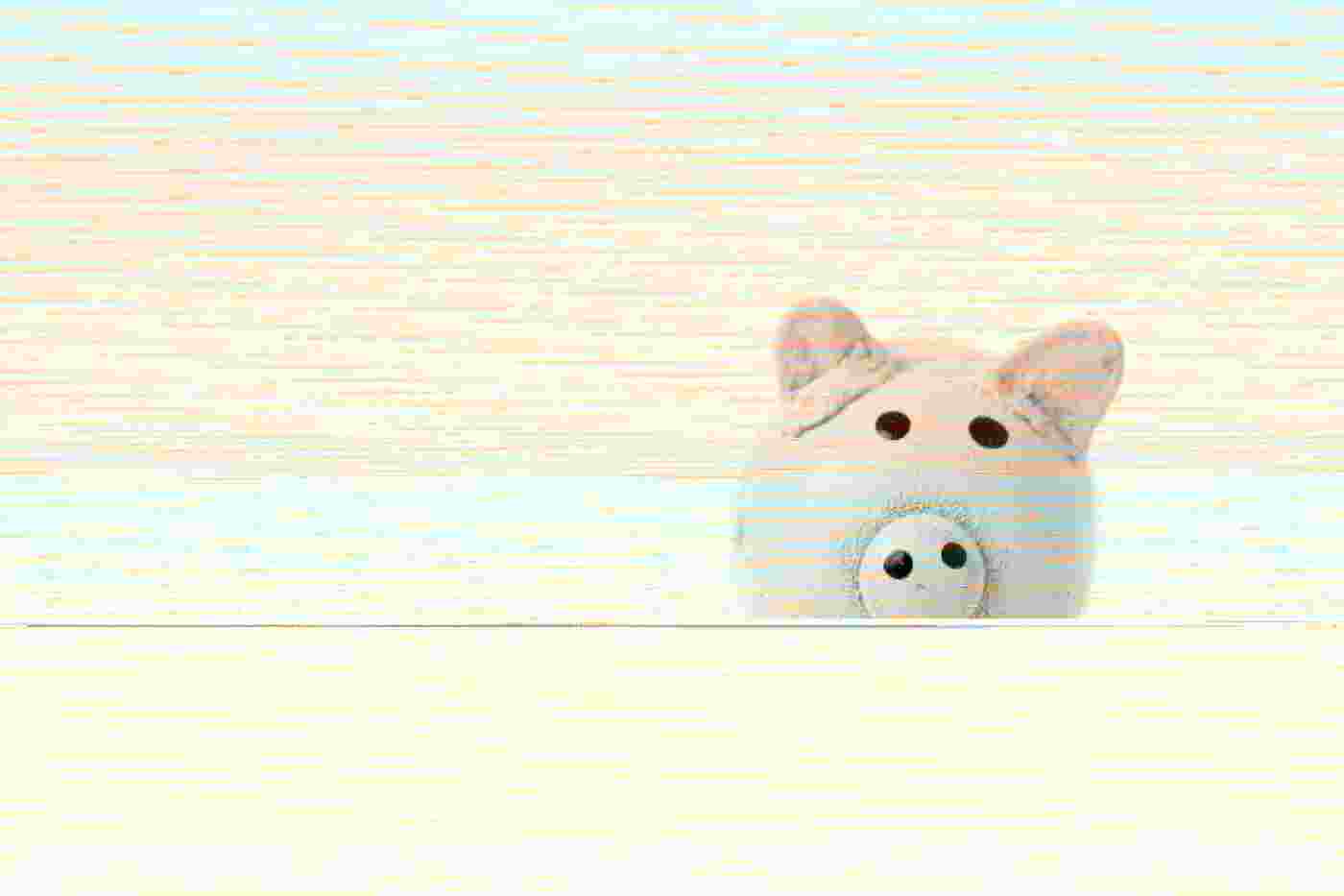 National Savings and Investments – time for a change?